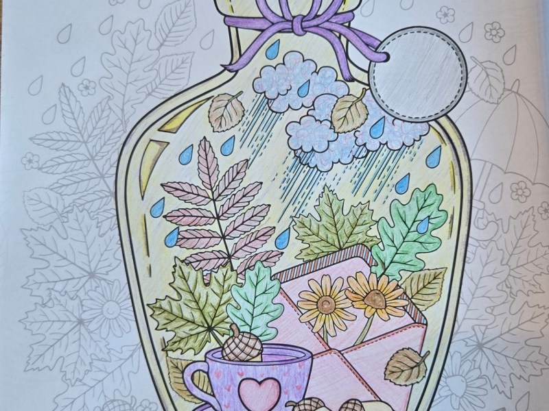 Retour année 2025 et résolutions&nbsp;2026